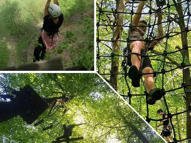 Collage van klimmers met helm en netten in boomtoppenparcours