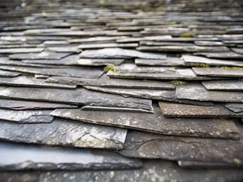 Close-up van overlappende leistenen dakpannen met mos