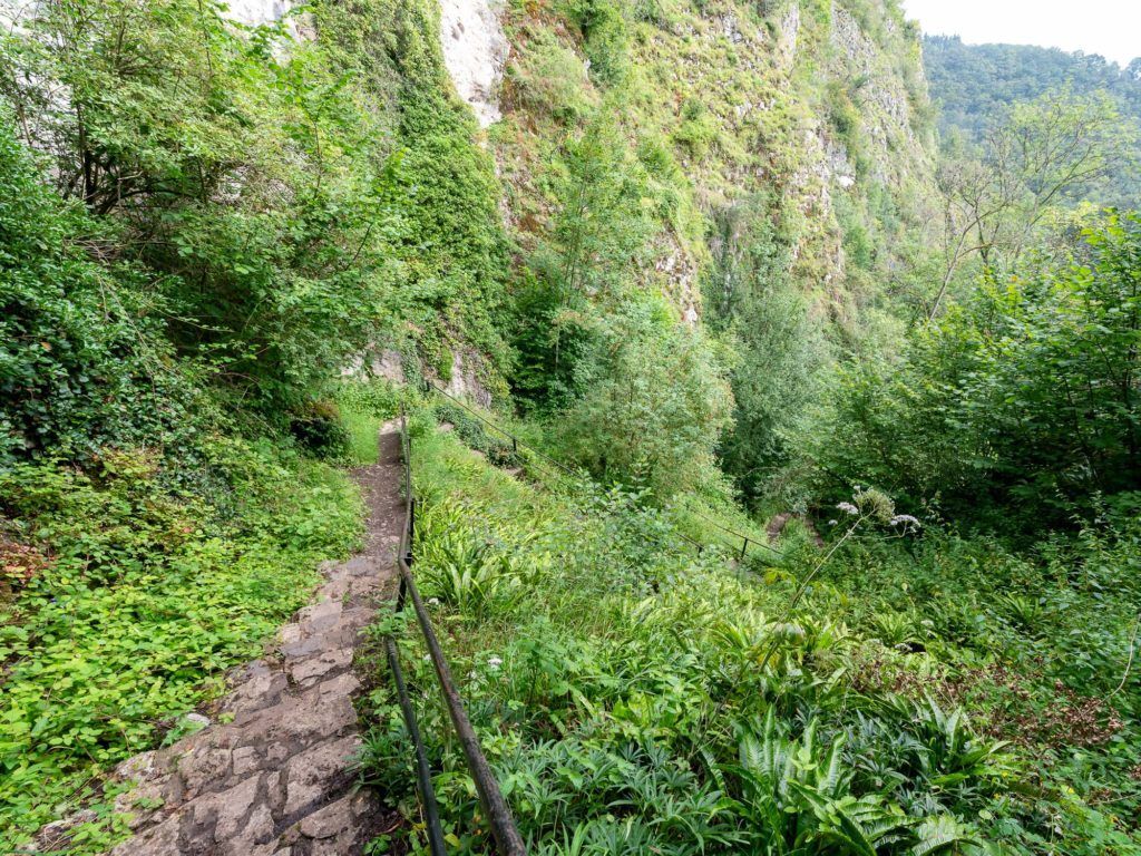 Réserve naturelle de Furfooz - afbeelding 2