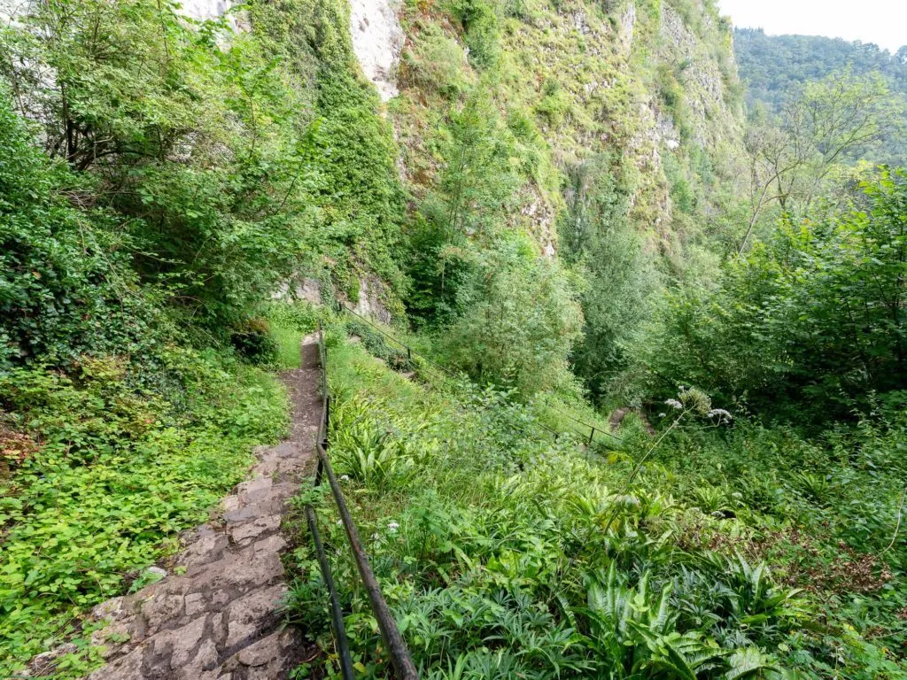 Furfooz Nature Reserve - afbeelding 2