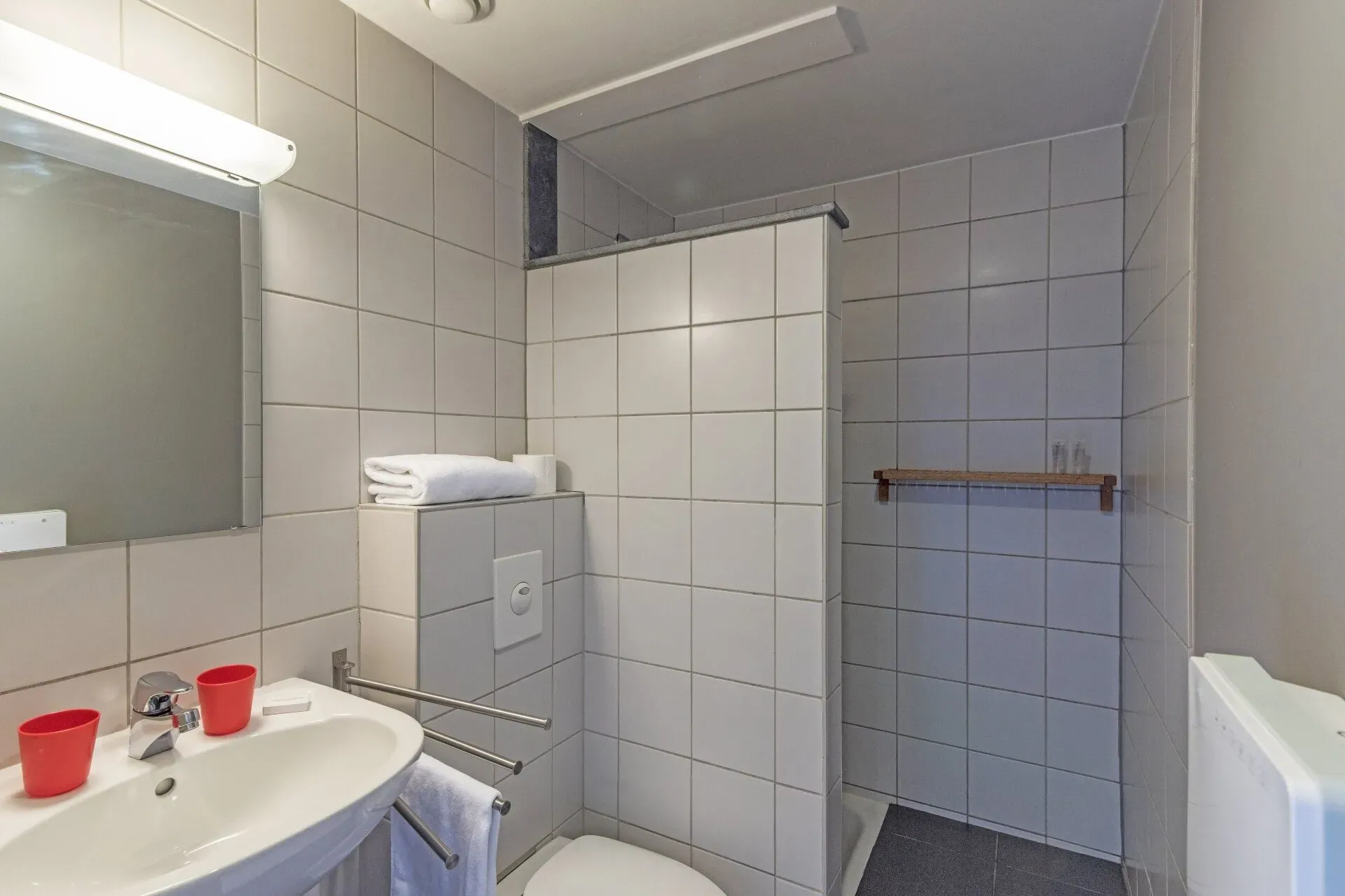 Privé badkamer met inloopdouche en wastafel ArdenNest
