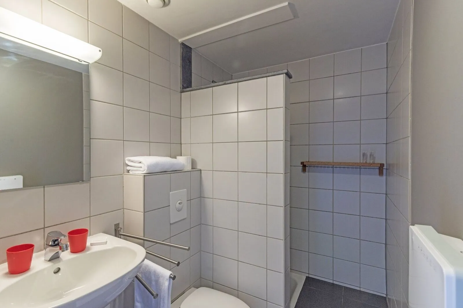 Privé badkamer met inloopdouche en wastafel ArdenNest