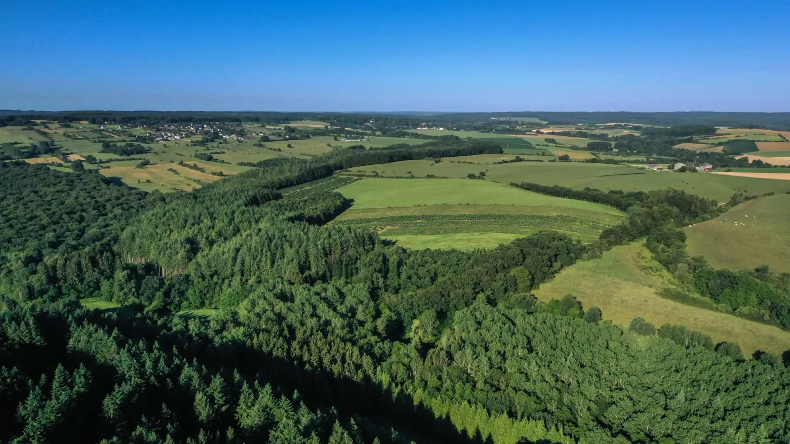 Rolling woodland and farmland near Honnay, Beauraing