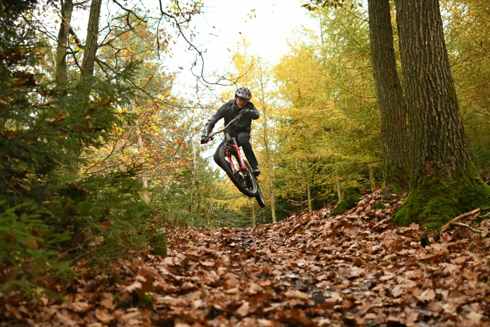 Mountain bike trails Beauraing