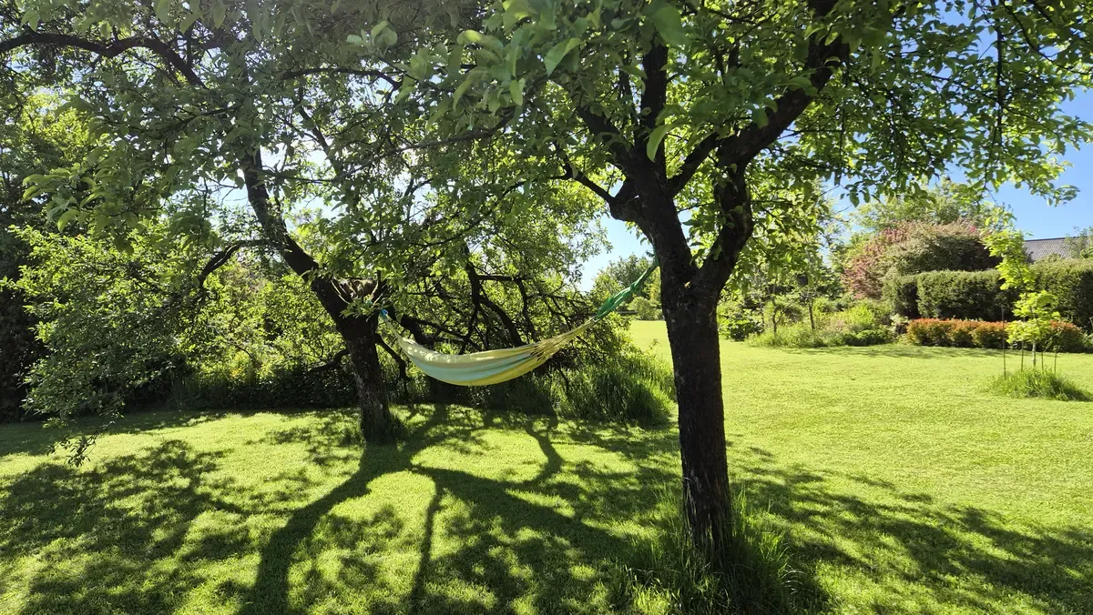 Hammock between trees — rest for parents while children play