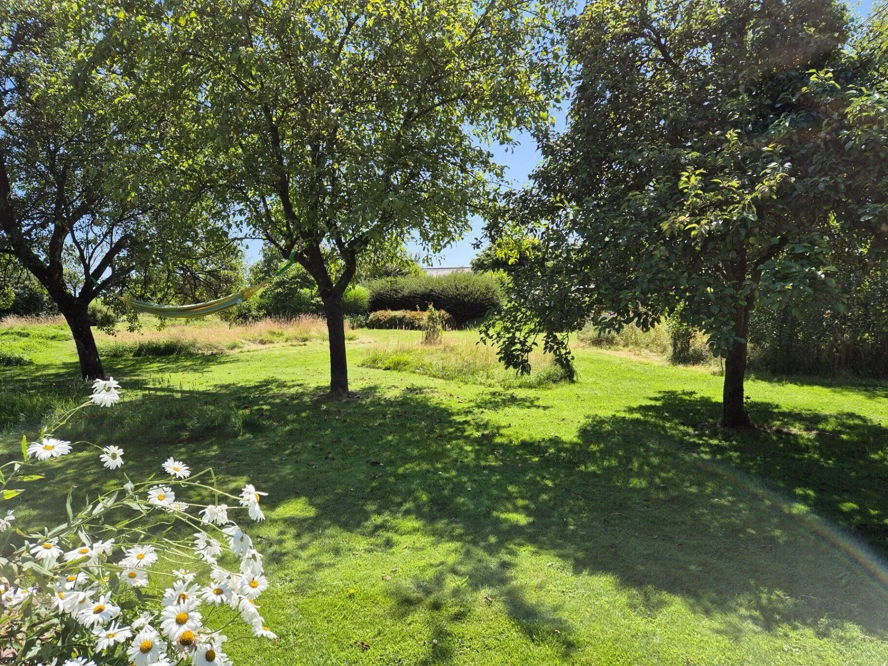 Hangmat tussen de bomen in de tuin van ArdenNest
