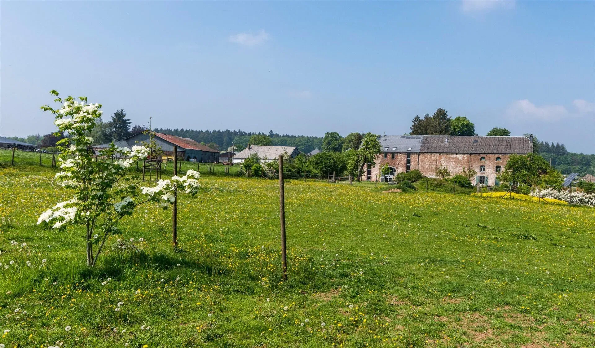 Le Jardin