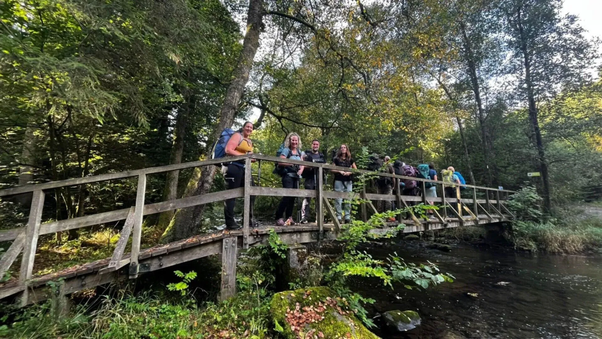 Groep wandelaars pauzeert op houten brug over beek in groen bos