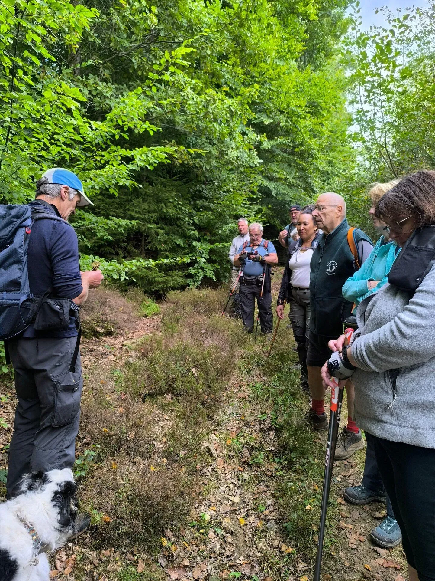 Gids geeft uitleg aan groep wandelaars op bospad