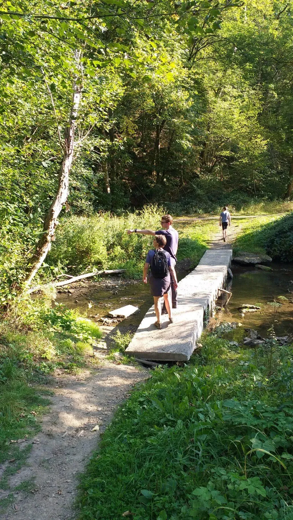 Wandelaars steken smalle houten plankbrug over beekje in het bos