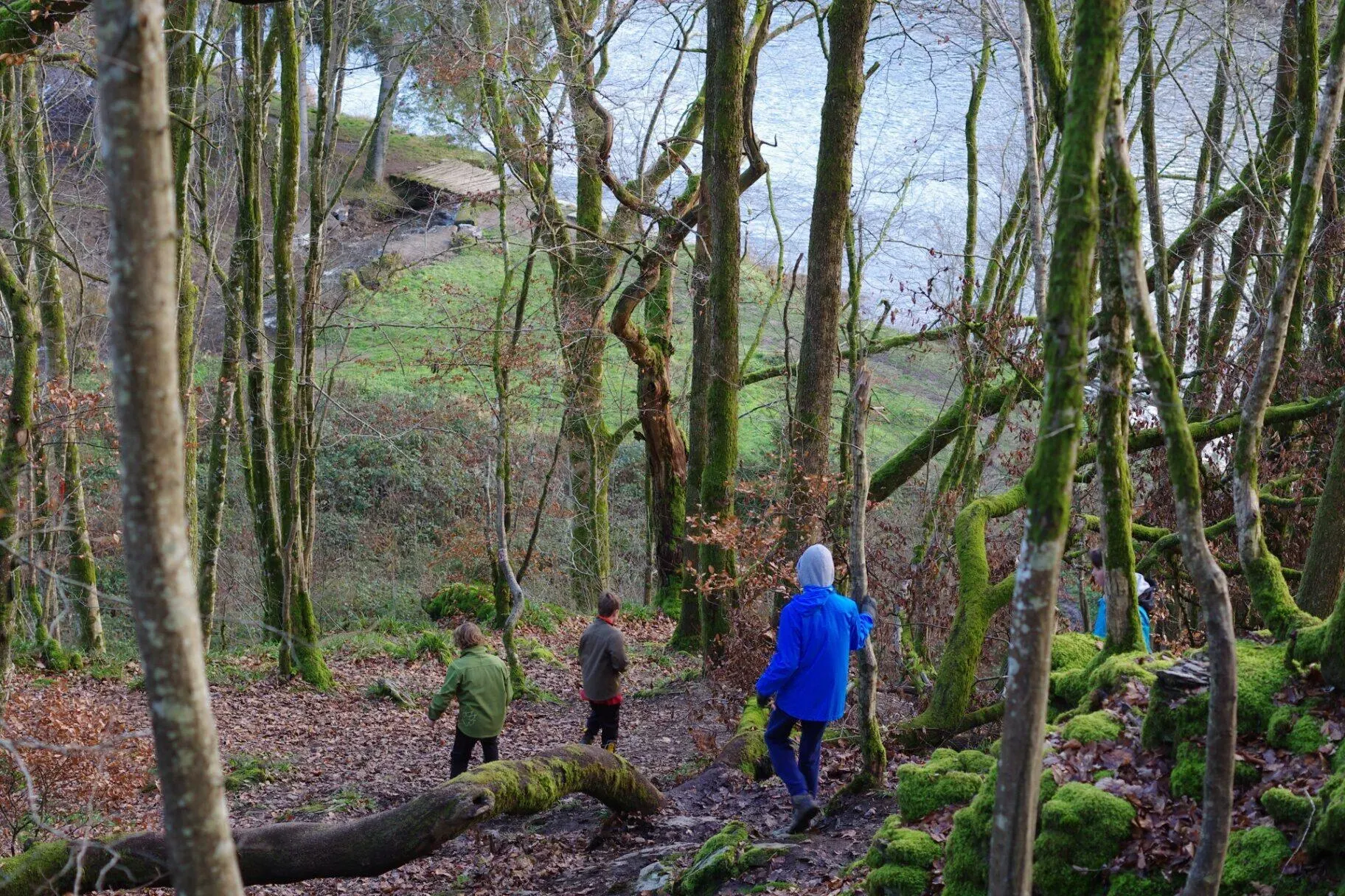 Kinderen dalen af door herfstbos richting rivier de Semois