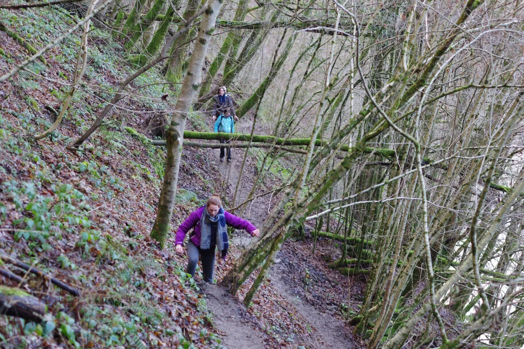 Wandelaars op smal bospad met houten leuning langs helling