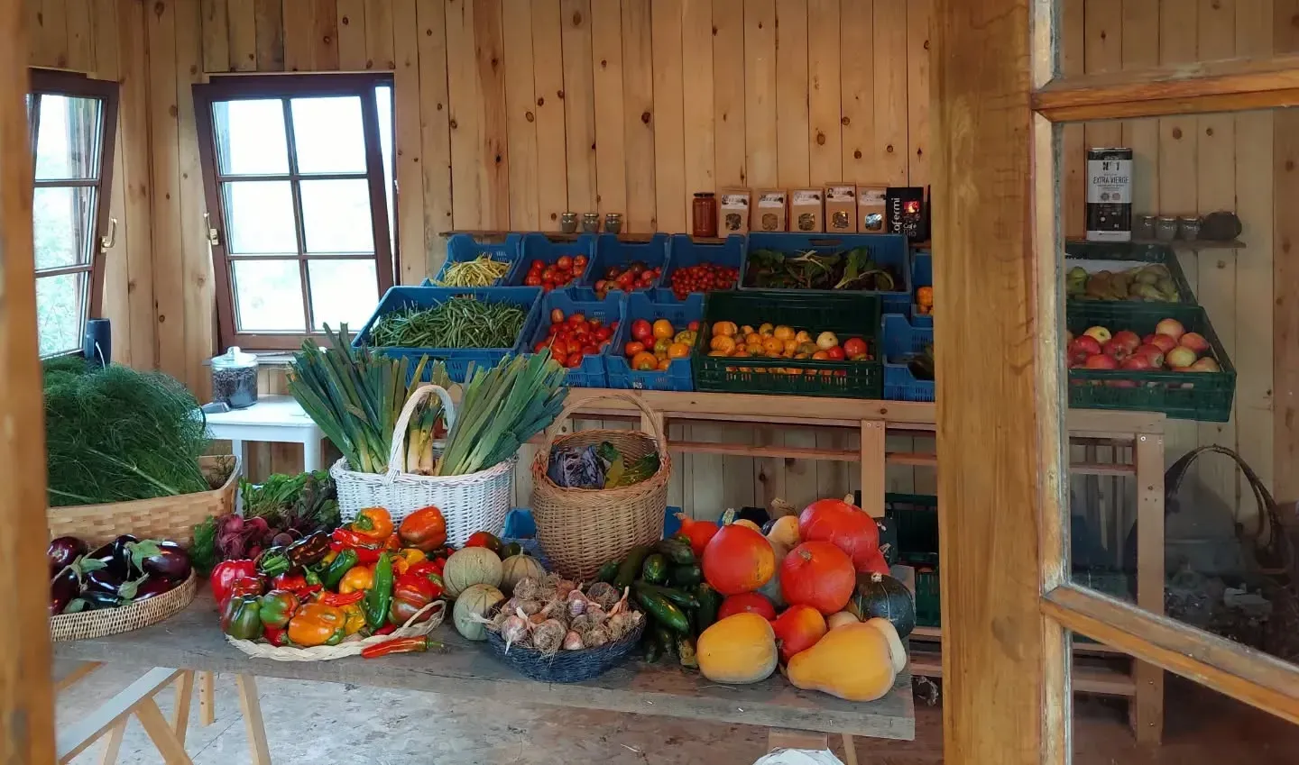 Houten hoevewinkel vol kleurrijke seizoensgroenten en fruit