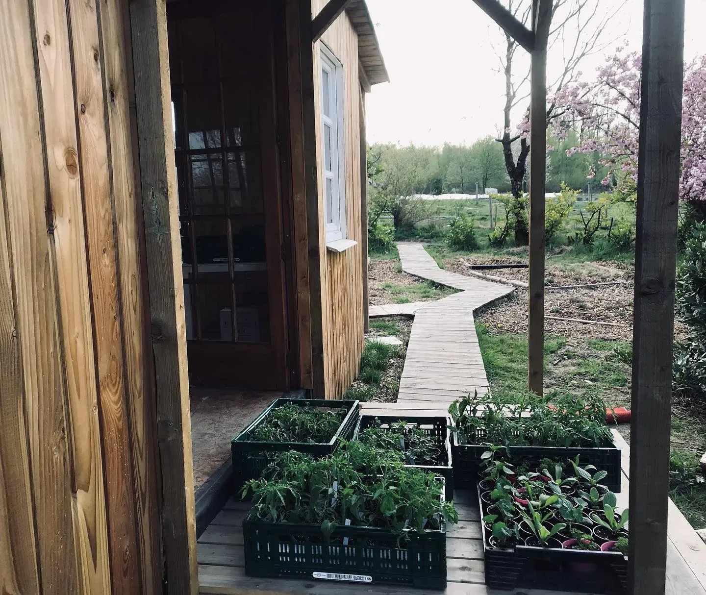 Ingang van het houten winkeltje met plantjes en pad naar de tuin