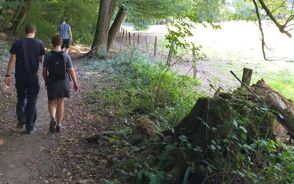 Wandelaars op een bospad langs de bosrand in de Belgische Ardennen