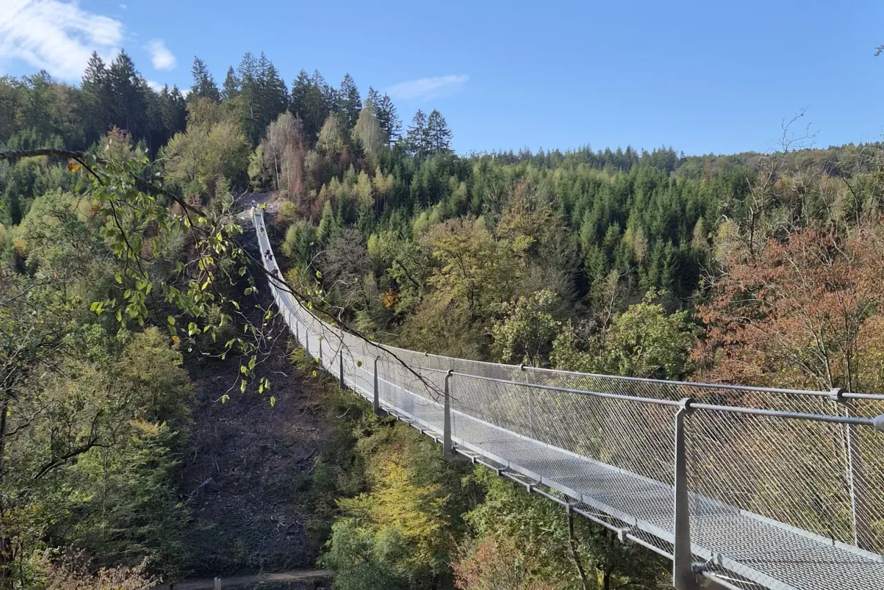 La passerelle de Sainte-Cécile enjambe sur 185 mètres la vallée boisée de la Semois
