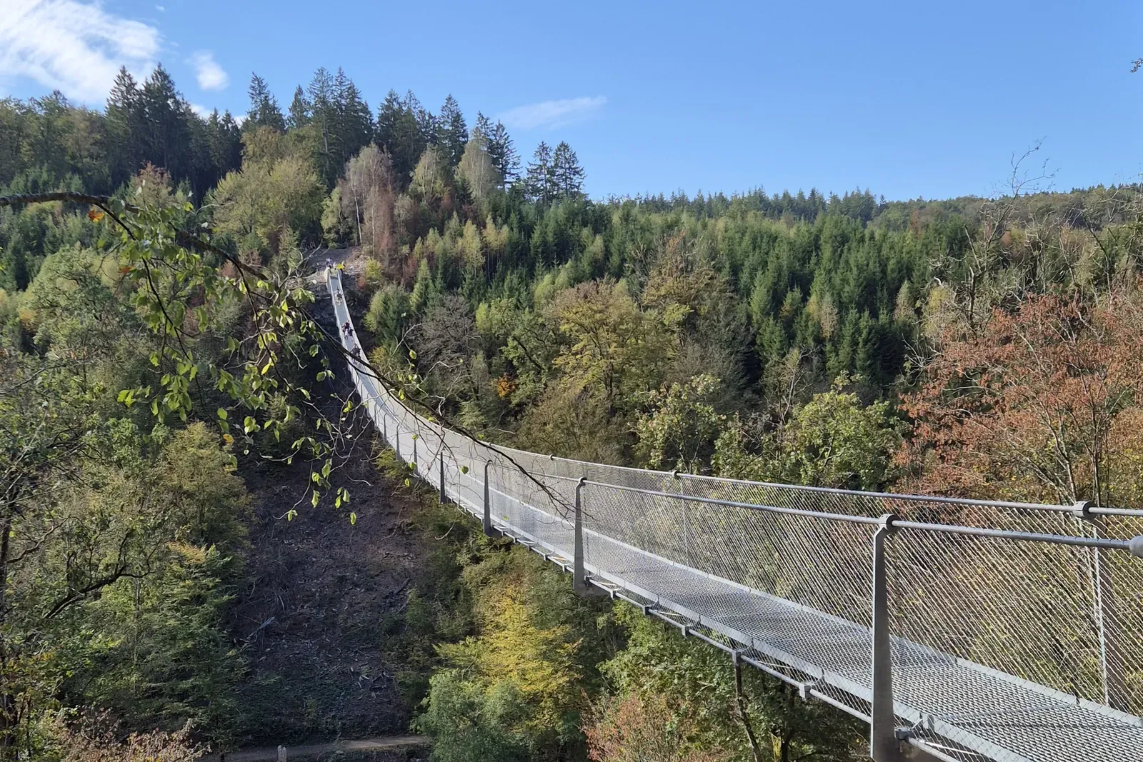 The Himalayan footbridge at Sainte-Cécile stretches 185 metres across the wooded Semois valley in autumn colours