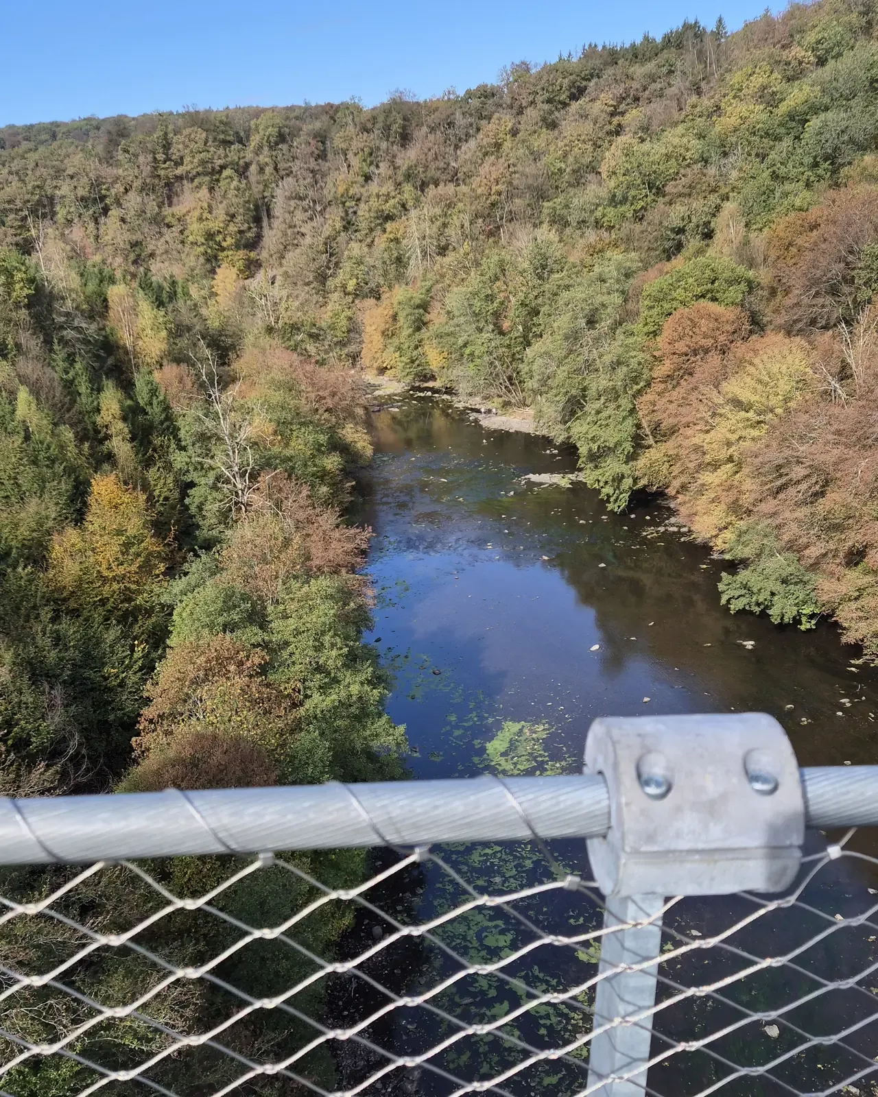 La Semois entre des versants boisés, vue depuis la passerelle de Sainte-Cécile