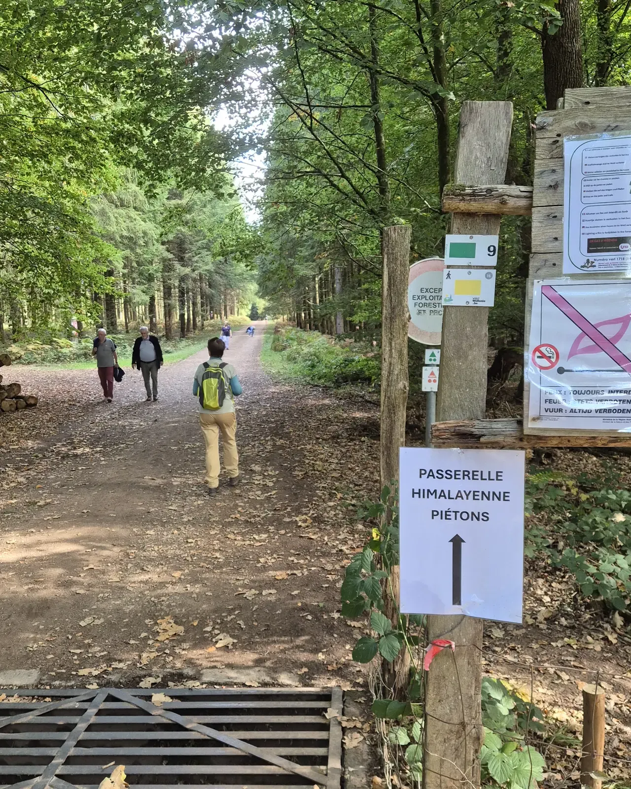 Sign "Passerelle himalayenne piétons" on the wide forest track leading to the Sainte-Cécile suspension bridge