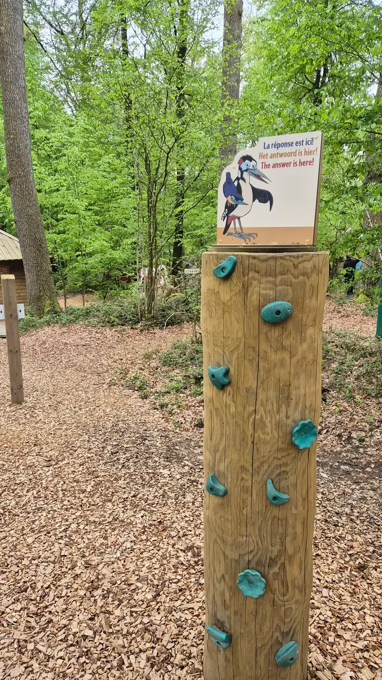 Symbiosa — Avonturenpark voor jonge gezinnen in Graide