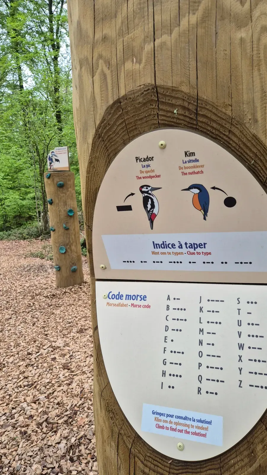 Module die uitnodigt om in het bos te luisteren